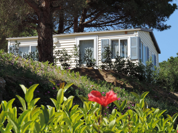 campings_visitarenys_carlitos_02