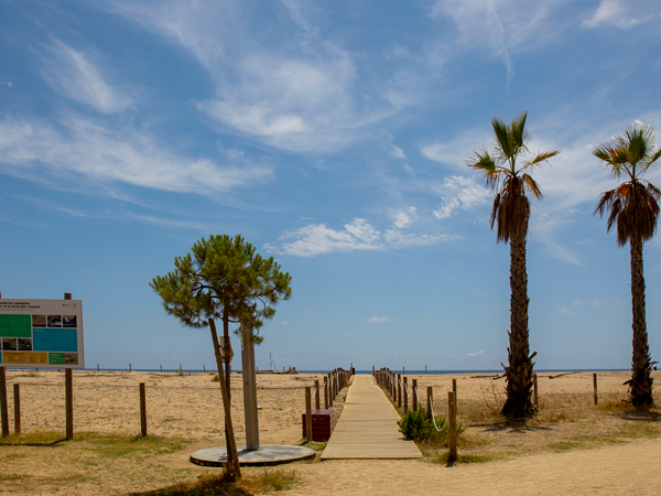 platges_visitarenys_03_03