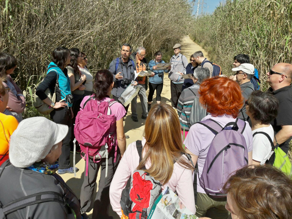 visites_visitarenys_06_02