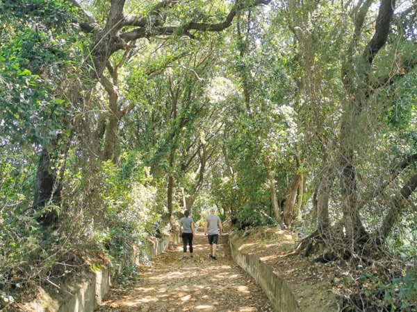 visites_visitarenys_06_03