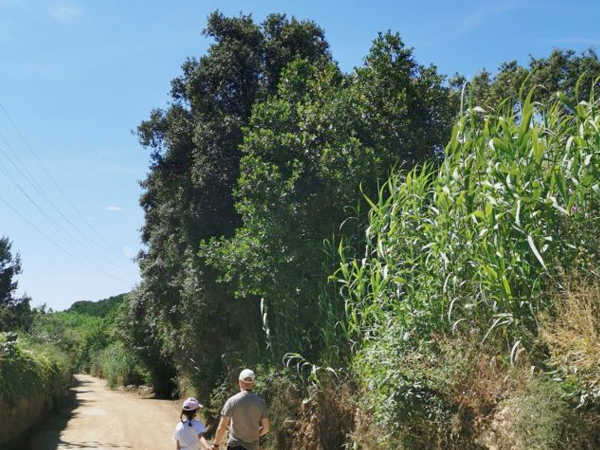 visites_visitarenys_06_04